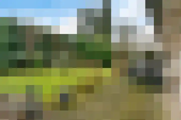 Rechterlaan 8 Enschede thumbnail 36