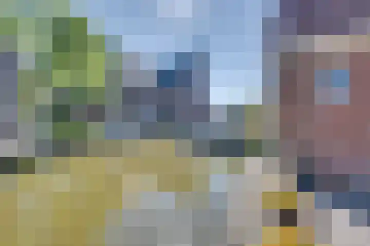 Rechtestraat 59 De Rijp thumbnail 33