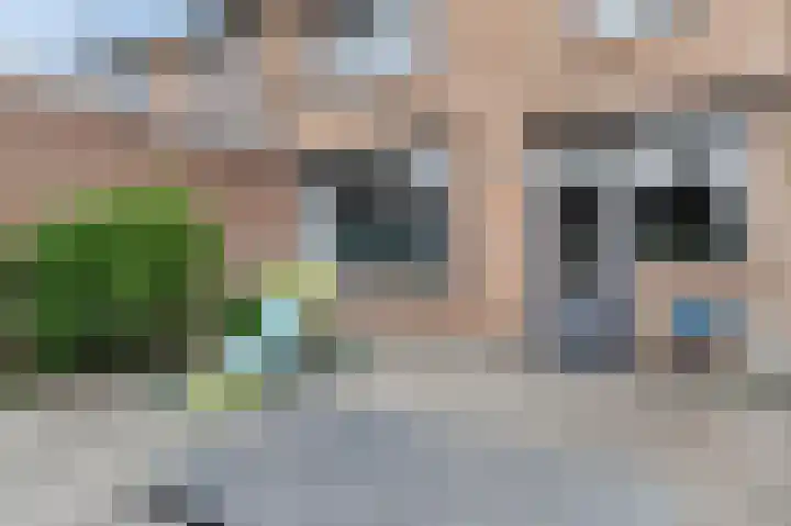 Rector de Kortstraat 4 Halsteren thumbnail 20