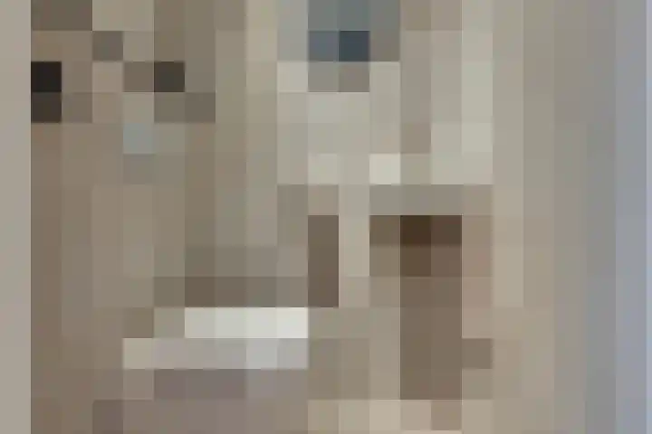Rectorsweerd 7 Deventer thumbnail 14