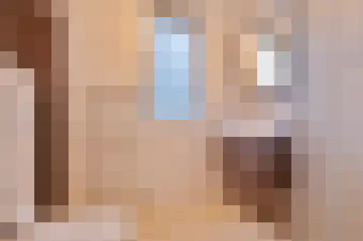 Rectorsweerd 7 Deventer thumbnail 14