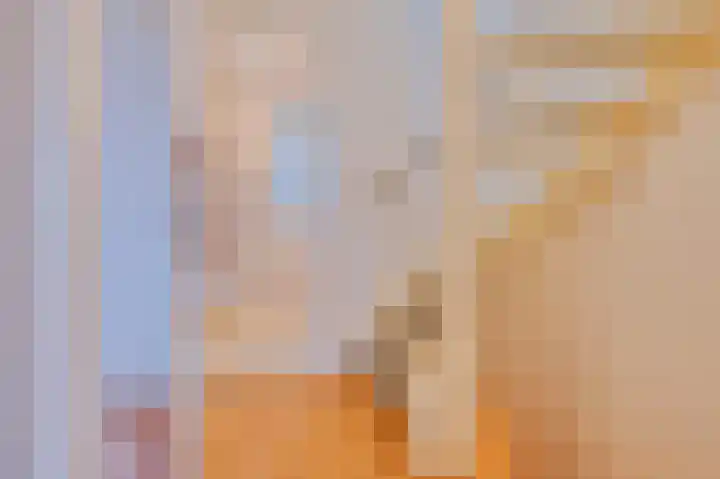 Rectorsweerd 7 Deventer thumbnail 16