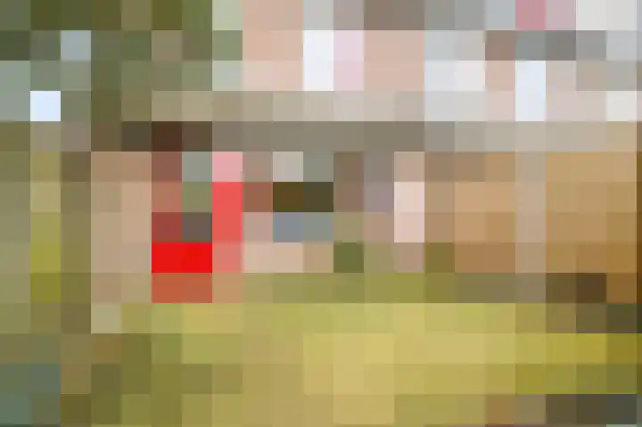 Rectorsweerd 7 Deventer thumbnail 20