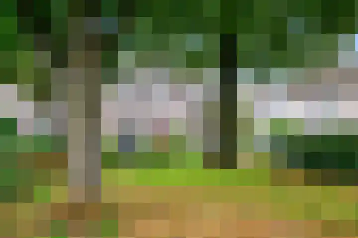 Rectorsweerd 7 Deventer thumbnail 22