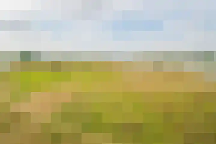 Rectorsweerd 7 Deventer thumbnail 24
