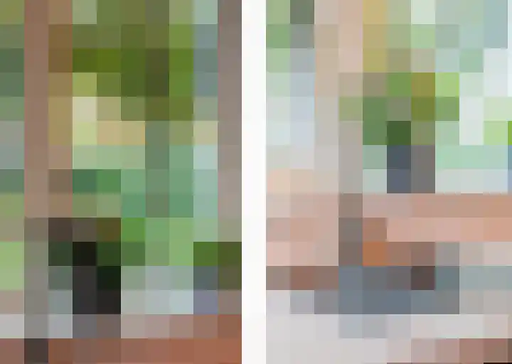 Rectorsweerd 7 Deventer thumbnail 7