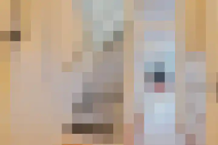 Rectorsweerd 7 Deventer thumbnail 9