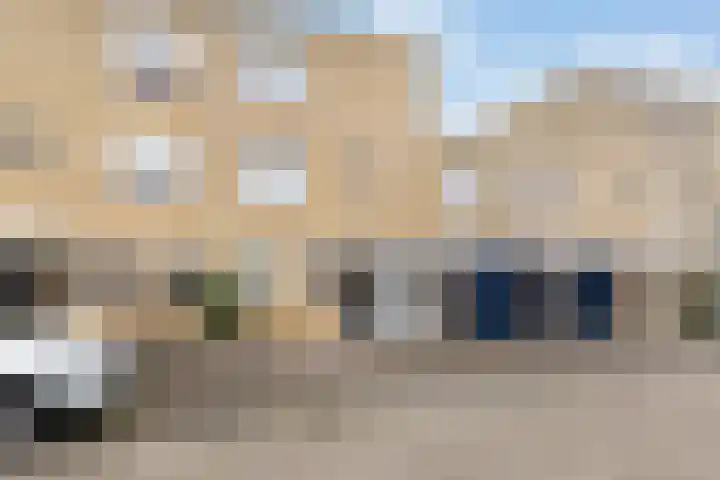 Rede 71 Zeewolde