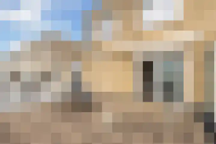 Rede 71 Zeewolde thumbnail 20