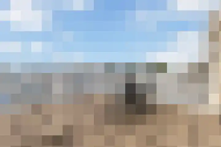 Rede 71 Zeewolde thumbnail 21
