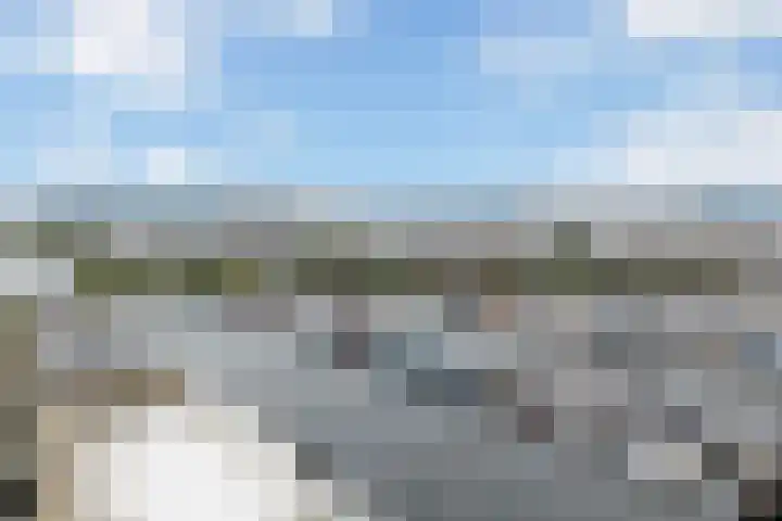 Rede 71 Zeewolde thumbnail 24
