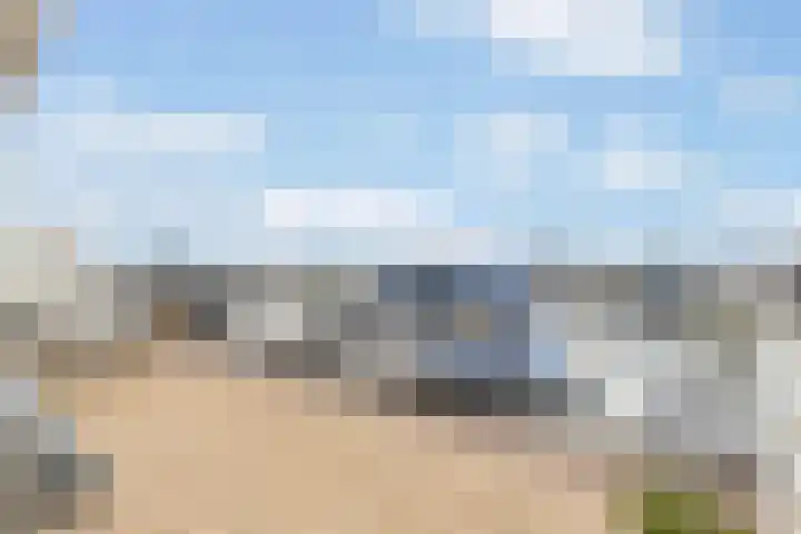 Rede 71 Zeewolde thumbnail 35