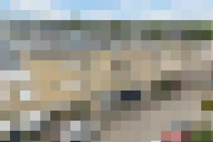 Rede 71 Zeewolde thumbnail 39