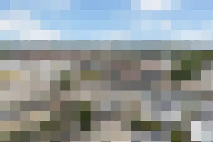 Rede 71 Zeewolde thumbnail 40