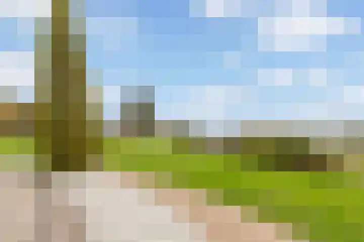 Rede 71 Zeewolde thumbnail 45