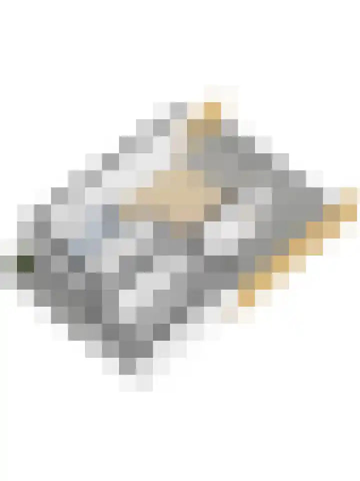 Rede 71 Zeewolde thumbnail 55