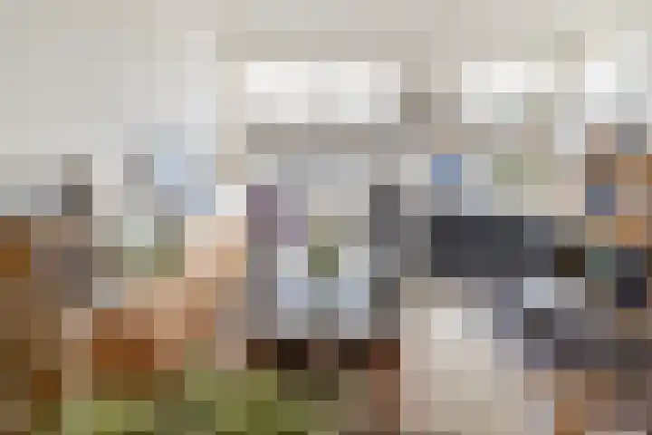 Rede 71 Zeewolde thumbnail 9