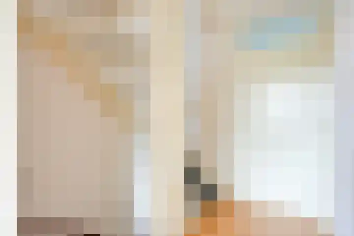 Redelaan 4 Zoetermeer thumbnail 13