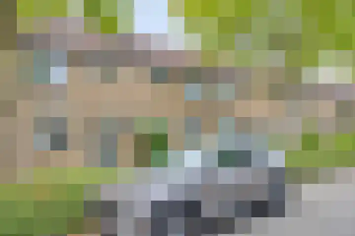 Redelaan 4 Zoetermeer foto 2