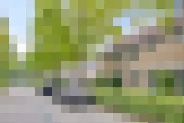 Redelaan 4 Zoetermeer thumbnail 5
