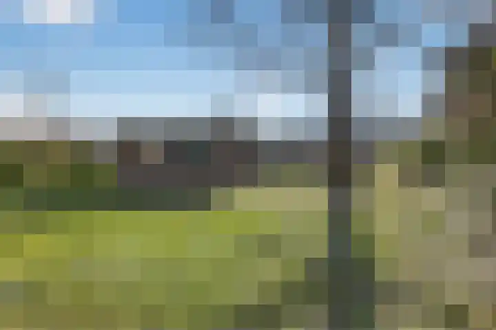 Redemark 2 Almere foto 2