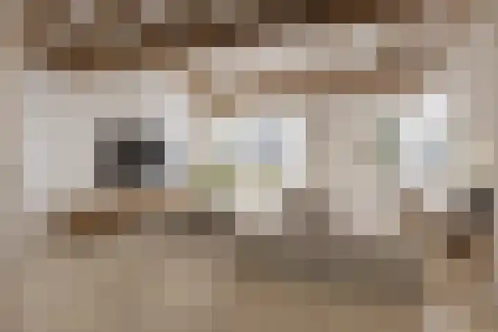 Redemark 2 Almere thumbnail 4