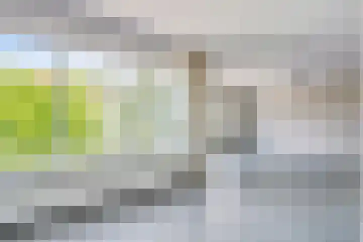 Redemark 2 Almere thumbnail 6