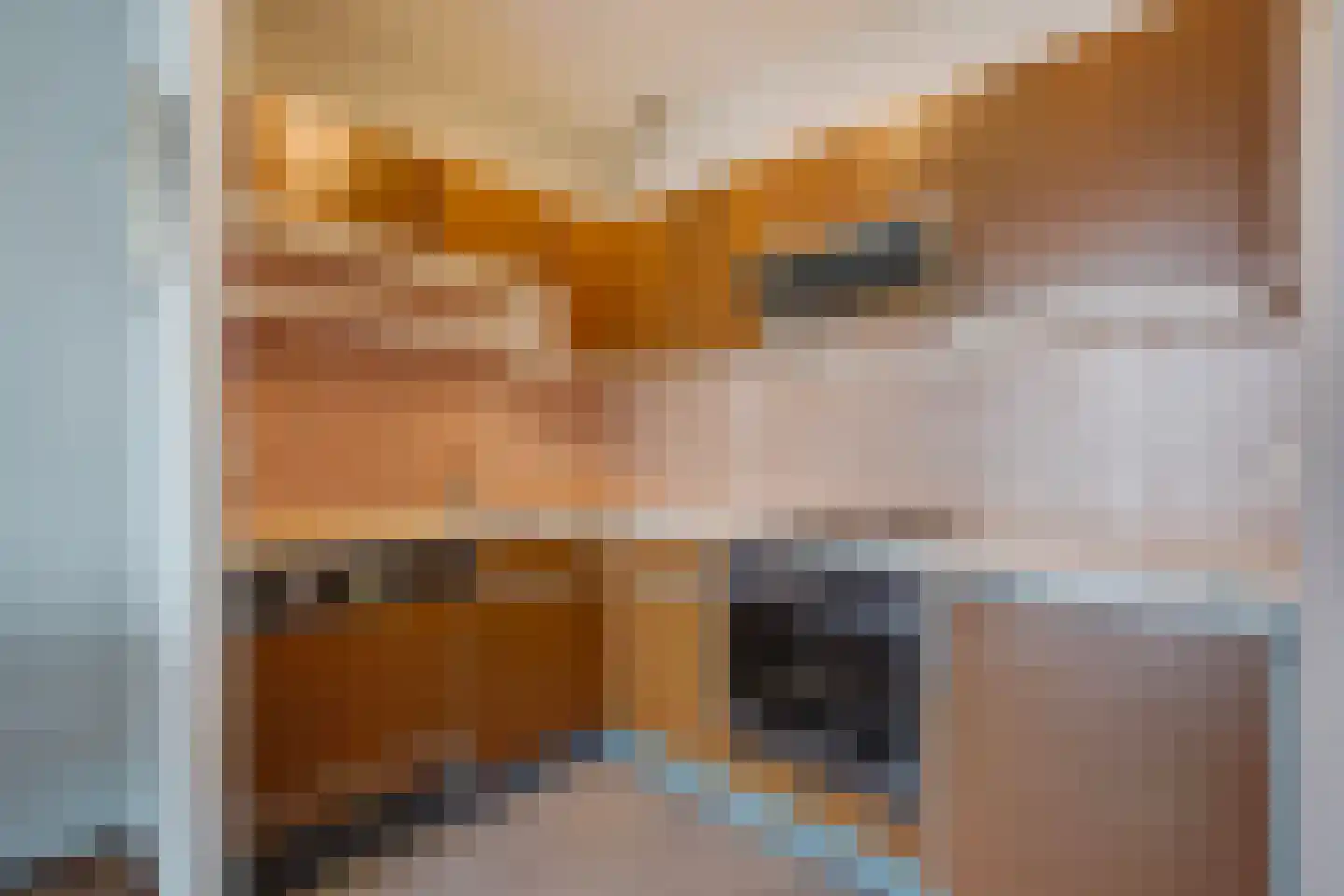 Rederserf 248 Den Haag thumbnail 20