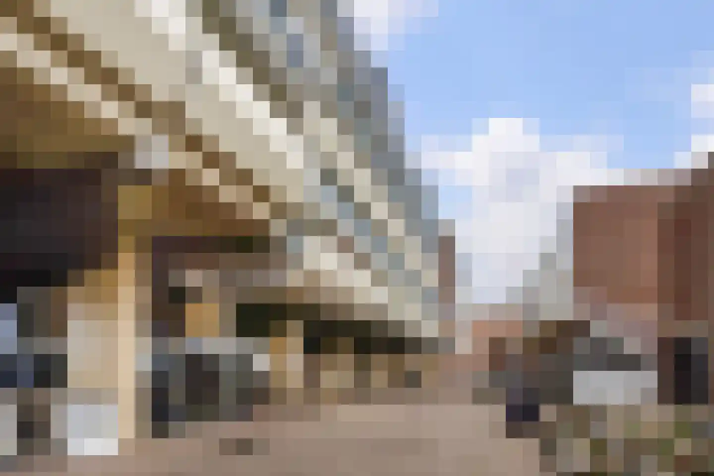 Rederserf 248 Den Haag thumbnail 5