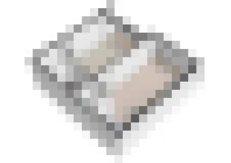 Rederserf 248 Den Haag thumbnail 52