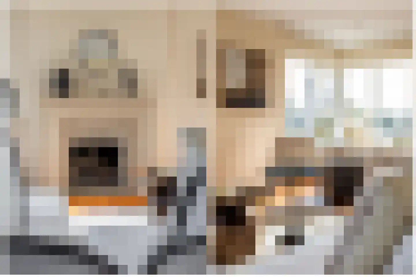 Ree 24 Reeuwijk thumbnail 20