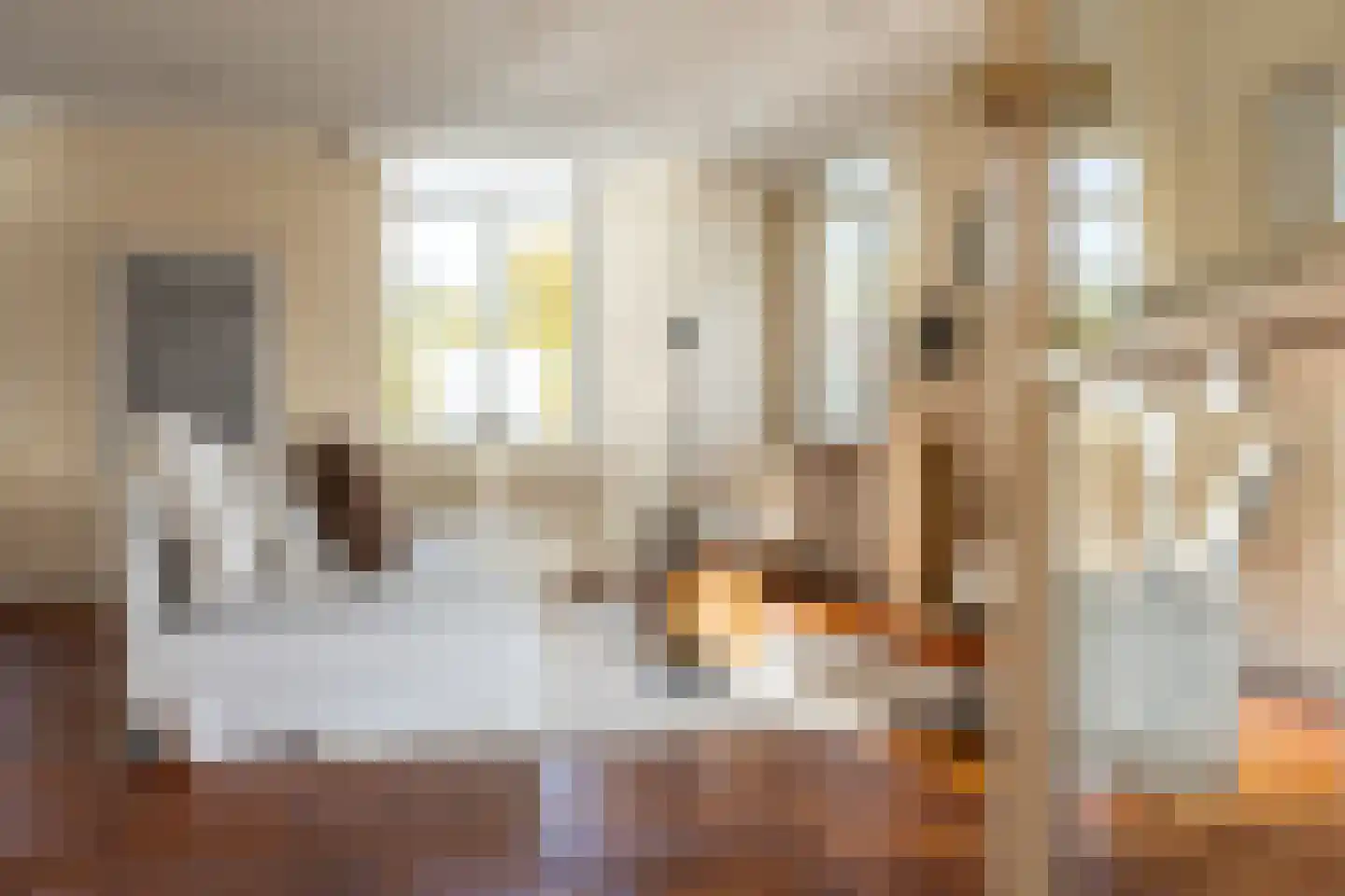 Ree 24 Reeuwijk thumbnail 22