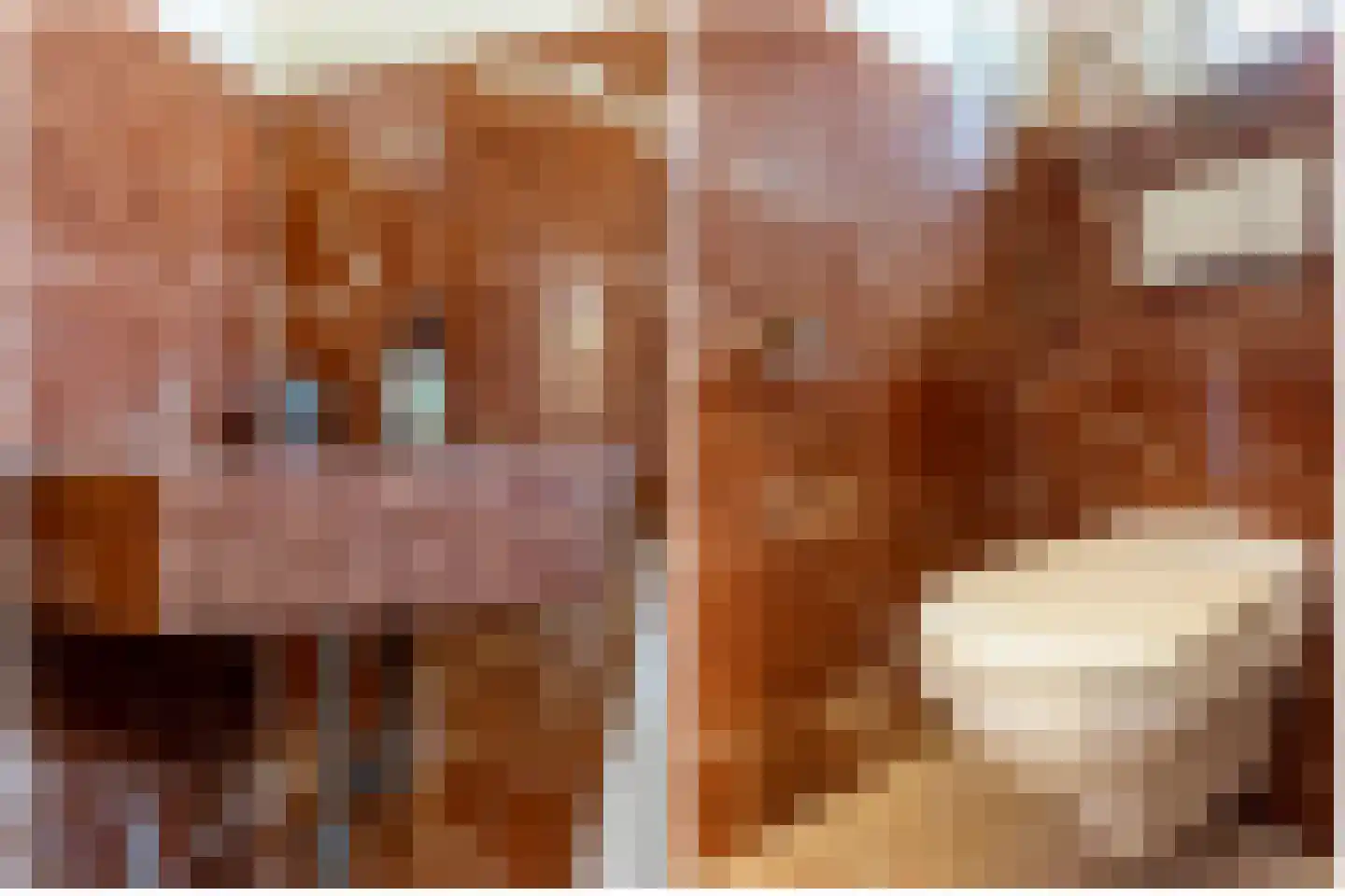 Ree 24 Reeuwijk thumbnail 40
