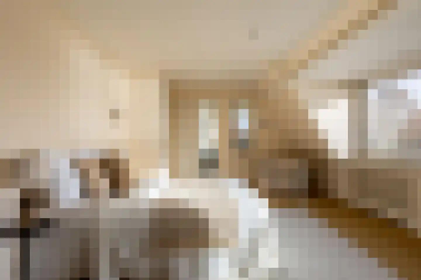 Ree 24 Reeuwijk thumbnail 45