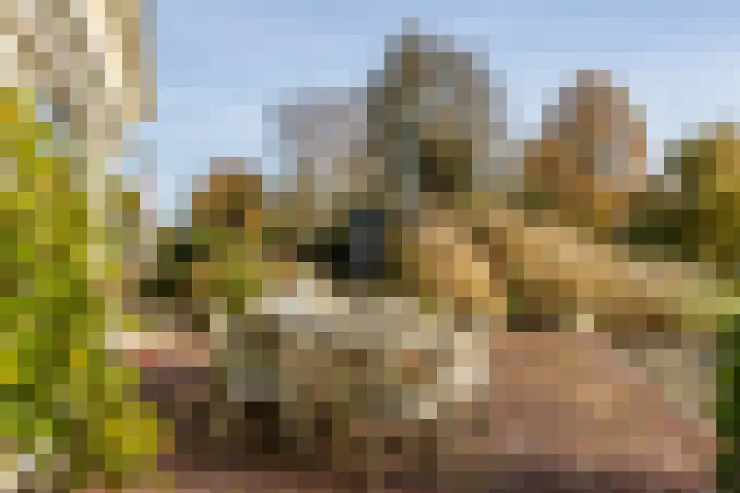 Ree 24 Reeuwijk thumbnail 64