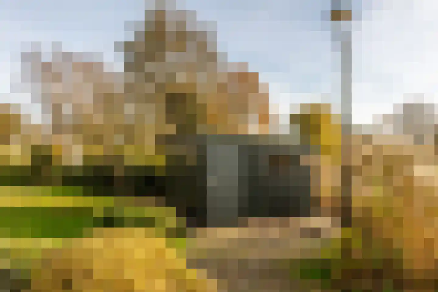 Ree 24 Reeuwijk thumbnail 66