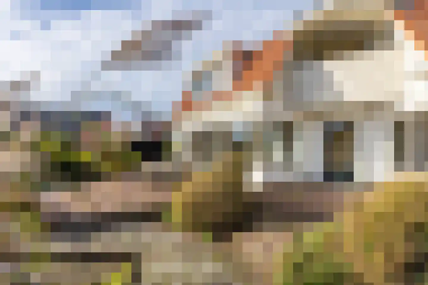 Ree 24 Reeuwijk thumbnail 67