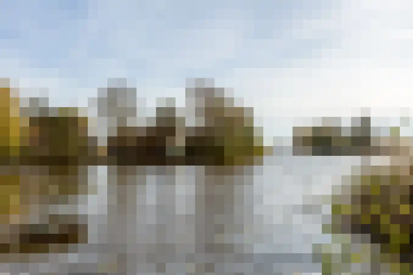 Ree 24 Reeuwijk thumbnail 71