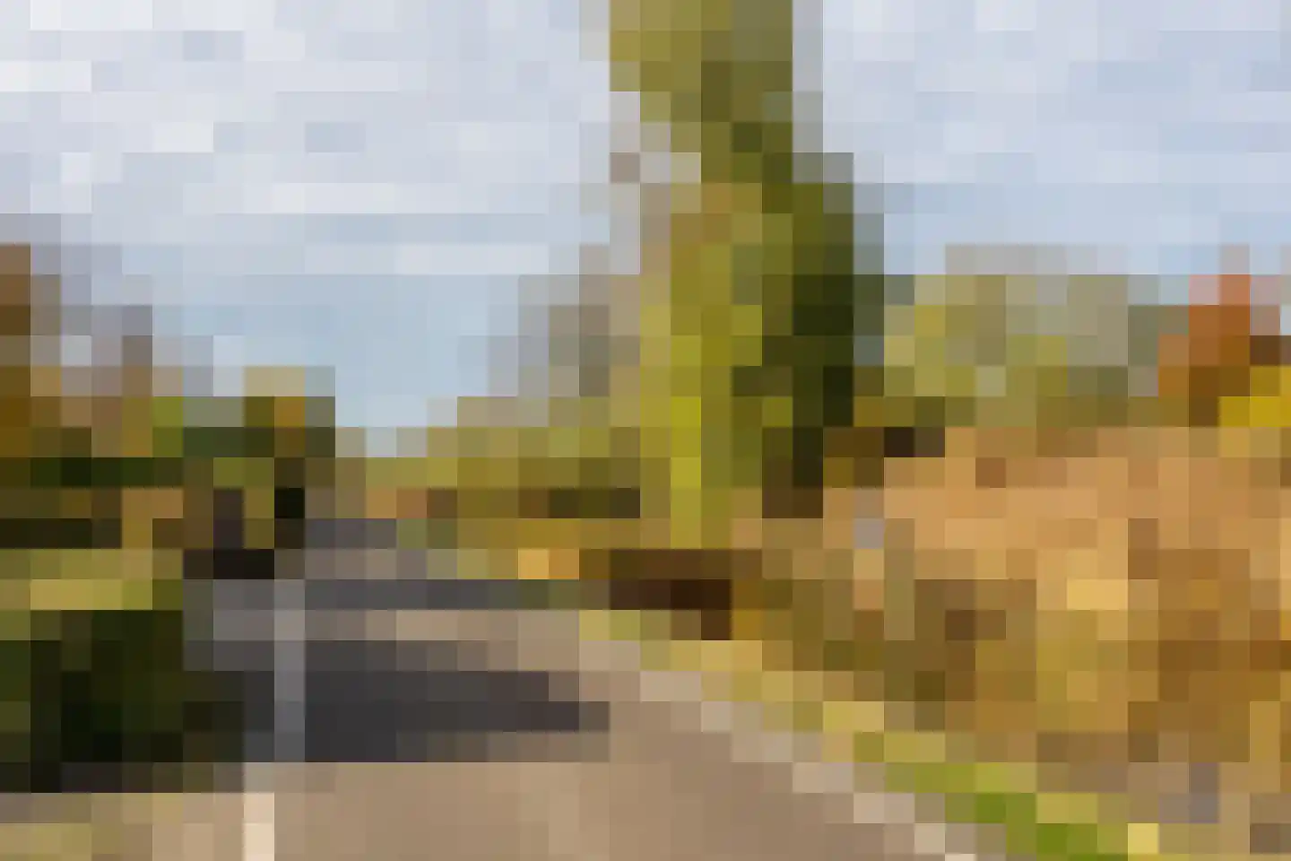 Ree 24 Reeuwijk thumbnail 76