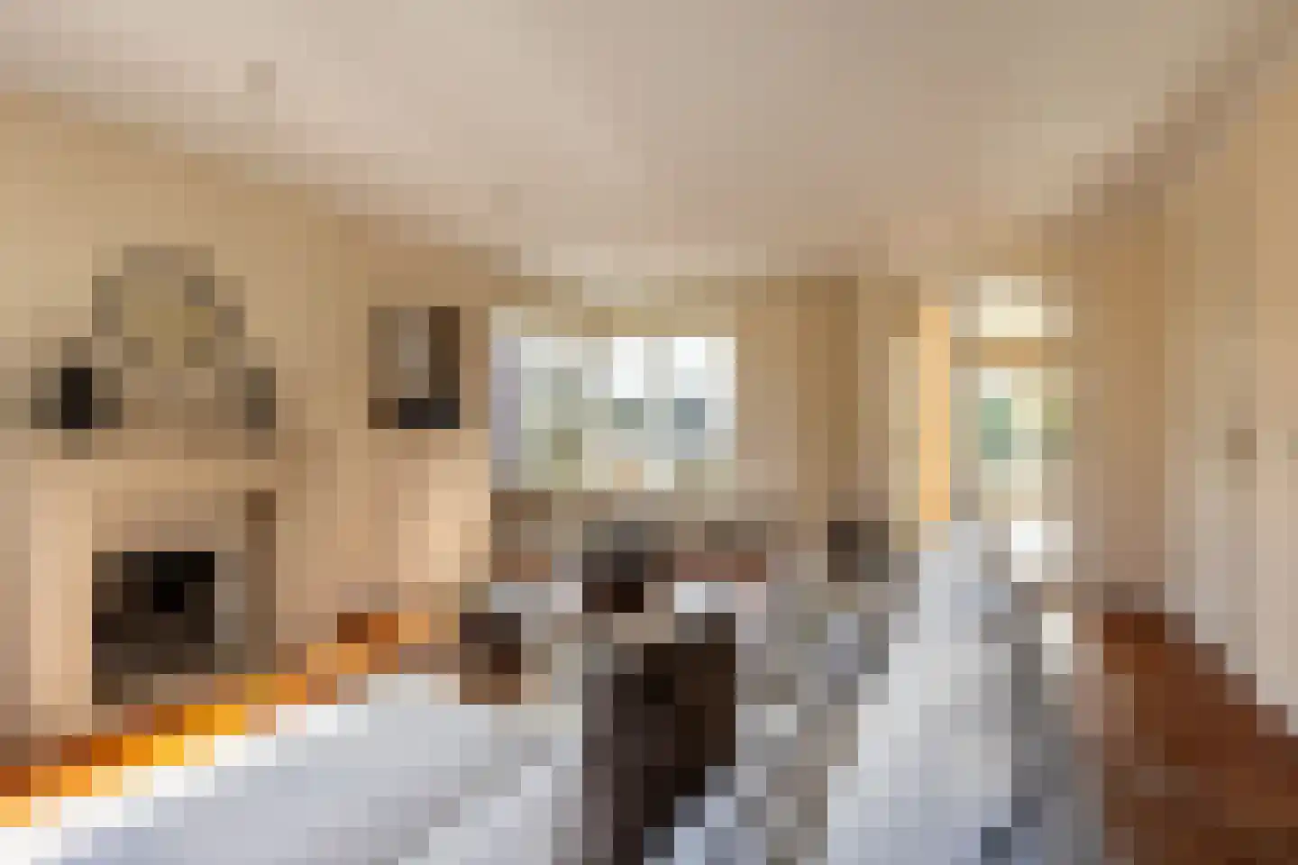 Ree 24 Reeuwijk thumbnail 8