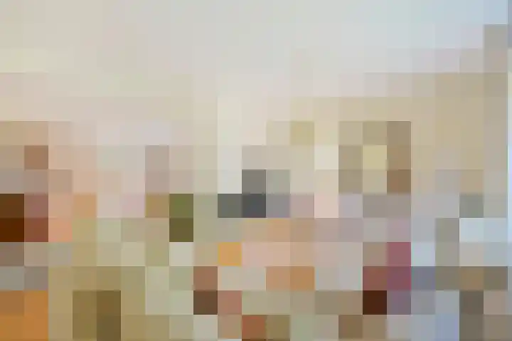 Ree 26 Huizen thumbnail 12