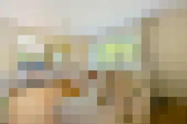 Ree 26 Huizen thumbnail 14