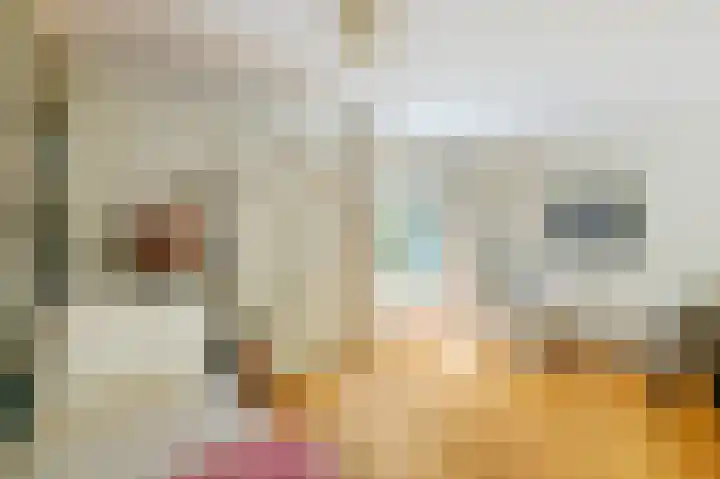 Ree 26 Huizen thumbnail 16
