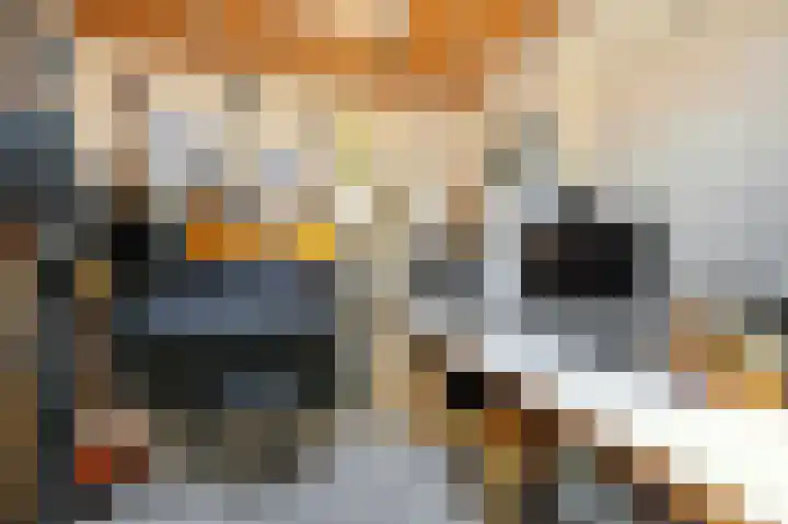 Ree 26 Huizen thumbnail 22