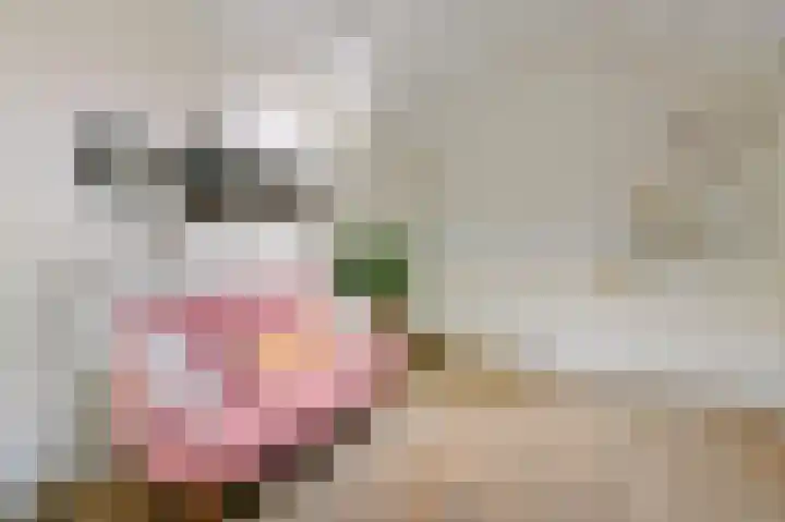 Ree 26 Huizen thumbnail 24