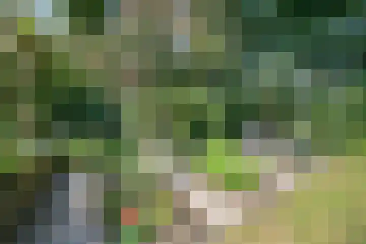 Ree 26 Huizen thumbnail 36