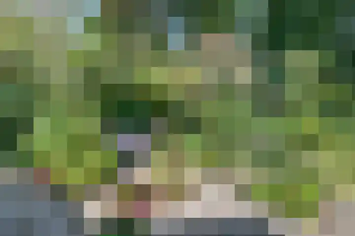 Ree 26 Huizen thumbnail 37
