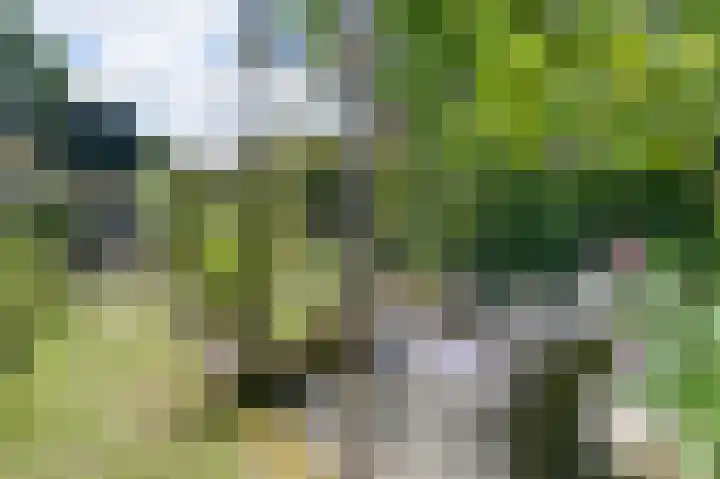 Ree 26 Huizen thumbnail 38
