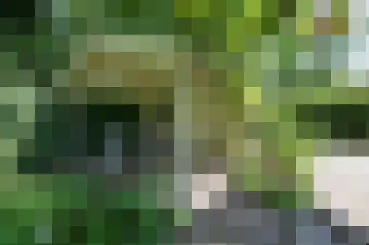 Ree 26 Huizen thumbnail 39