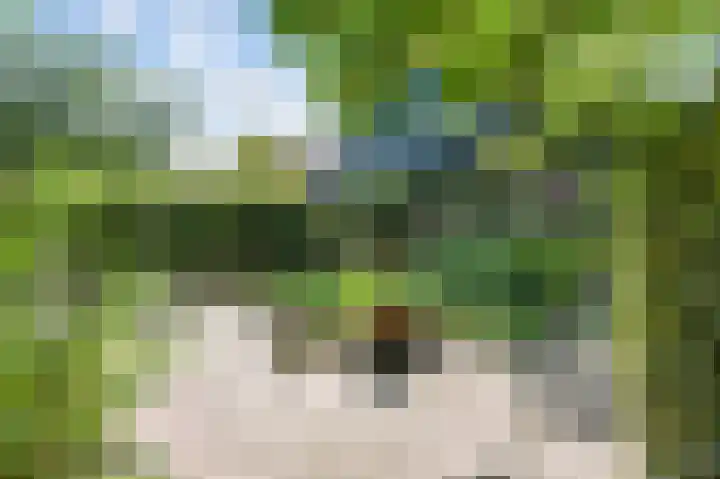 Ree 26 Huizen thumbnail 4